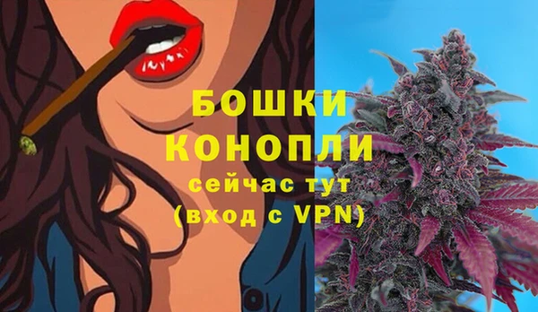 винт Баксан